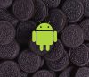 Cómo borrar la caché de una app en Android 8 Oreo